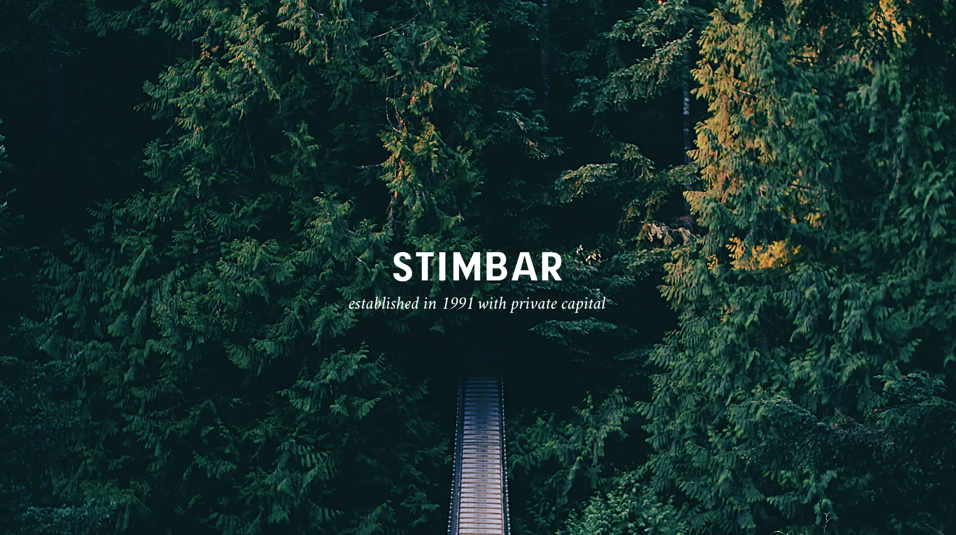 slider-image-forest-1